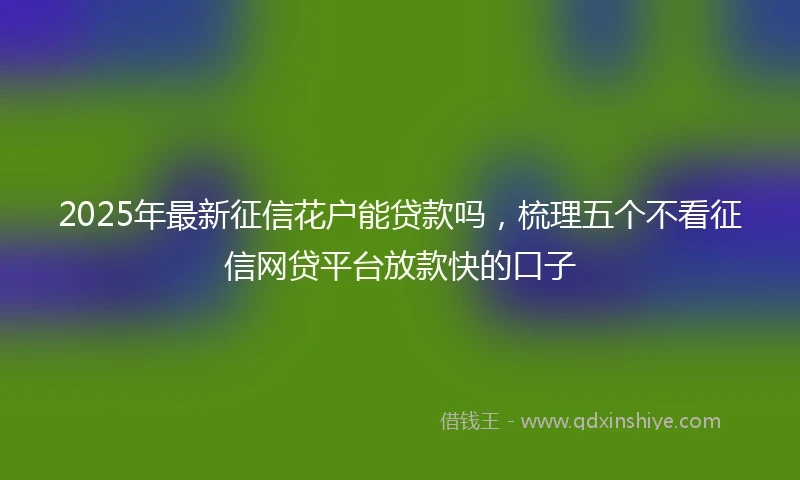 2025年最新征信花户能贷款吗，梳理五个不看征信网贷平台放款快的口子
