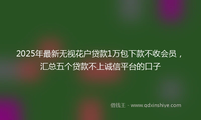 2025年最新无视花户贷款1万包下款不收会员，汇总五个贷款不上诚信平台的口子