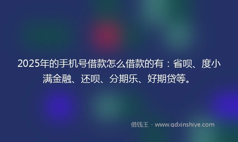 2025年的手机号借款怎么借款的有：省呗、度小满金融、还呗、分期乐、好期贷等。