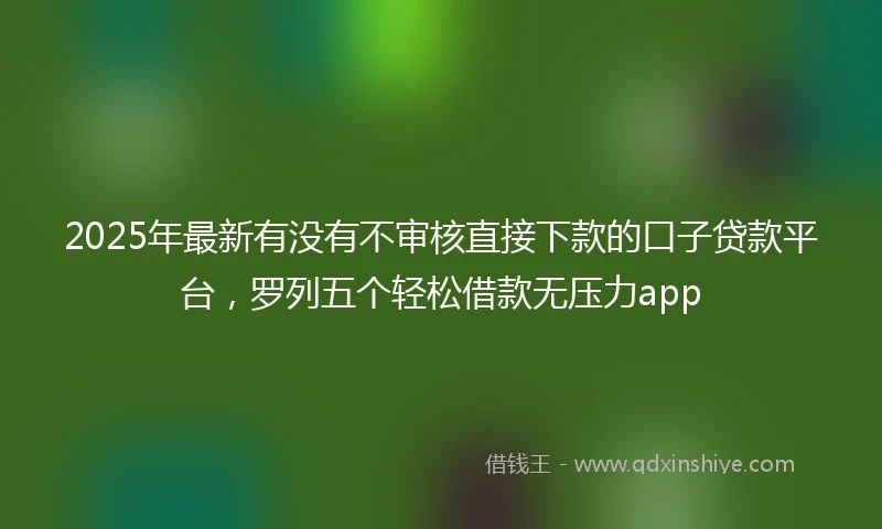 2025年最新有没有不审核直接下款的口子贷款平台，罗列五个轻松借款无压力app