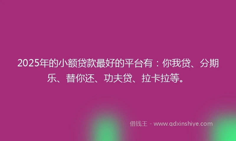 2025年的小额贷款最好的平台有：你我贷、分期乐、替你还、功夫贷、拉卡拉等。