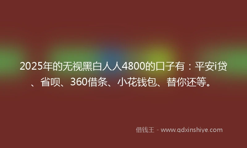 2025年的无视黑白人人4800的口子有：平安i贷、省呗、360借条、小花钱包、替你还等。