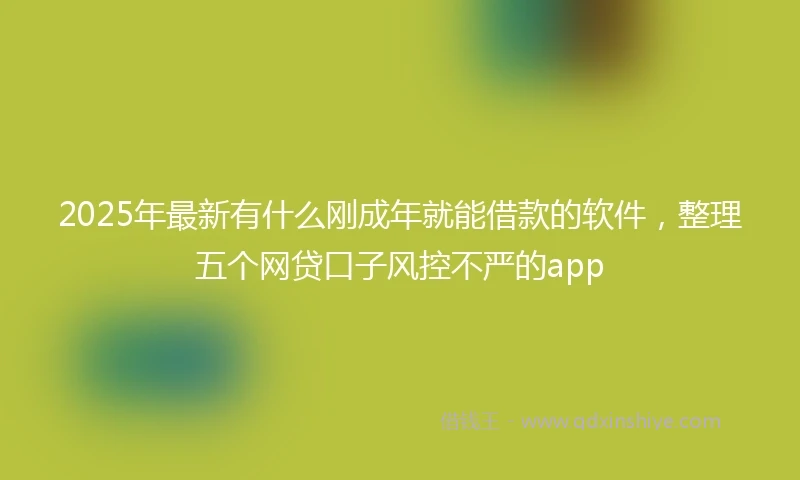2025年最新有什么刚成年就能借款的软件，整理五个网贷口子风控不严的app