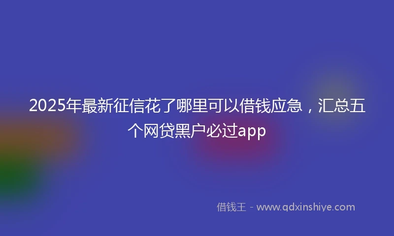 2025年最新征信花了哪里可以借钱应急，汇总五个网贷黑户必过app