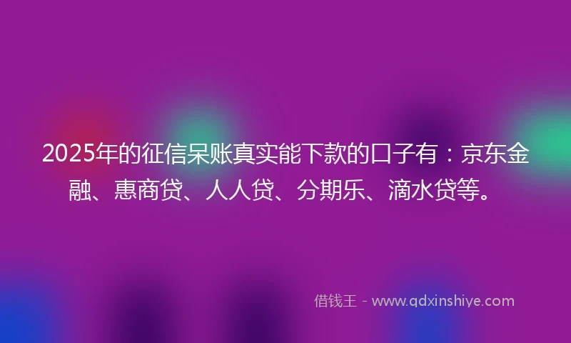 2025年的征信呆账真实能下款的口子有：京东金融、惠商贷、人人贷、分期乐、滴水贷等。