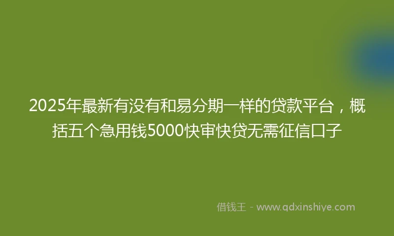 2025年最新有没有和易分期一样的贷款平台，概括五个急用钱5000快审快贷无需征信口子