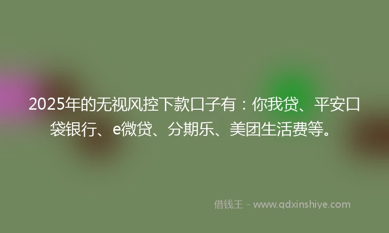 2025年的无视风控下款口子有：你我贷、平安口袋银行、e微贷、分期乐、美团生活费等。