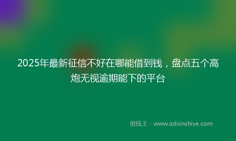 2025年最新征信不好在哪能借到钱，盘点五个高炮无视逾期能下的平台