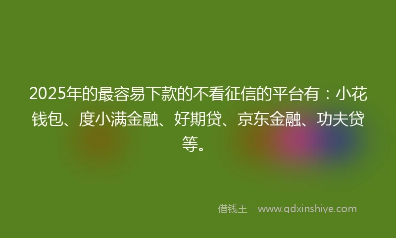 2025年的最容易下款的不看征信的平台有：小花钱包、度小满金融、好期贷、京东金融、功夫贷等。