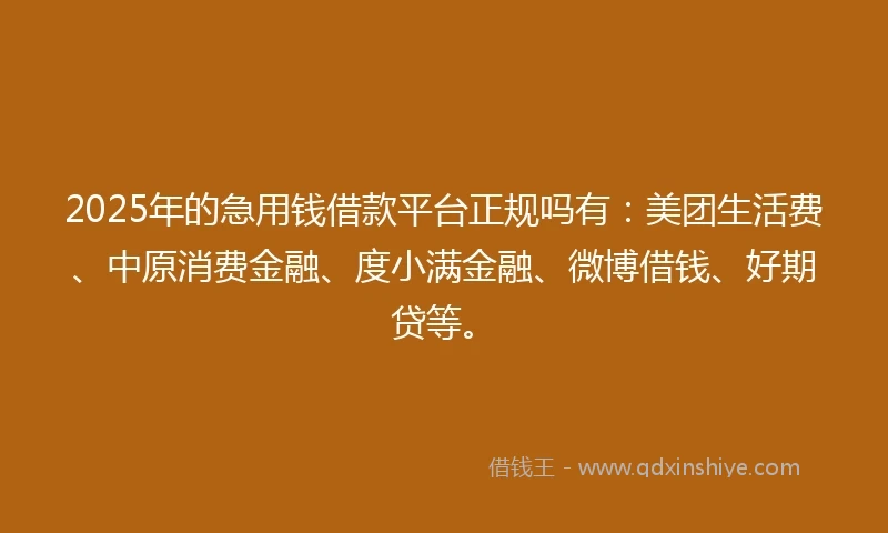 2025年的急用钱借款平台正规吗有：美团生活费、中原消费金融、度小满金融、微博借钱、好期贷等。