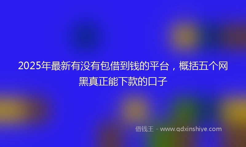 2025年最新有没有包借到钱的平台,概括五个网黑真正能下款的口子