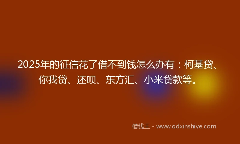2025年的征信花了借不到钱怎么办有：柯基贷、你我贷、还呗、东方汇、小米贷款等。