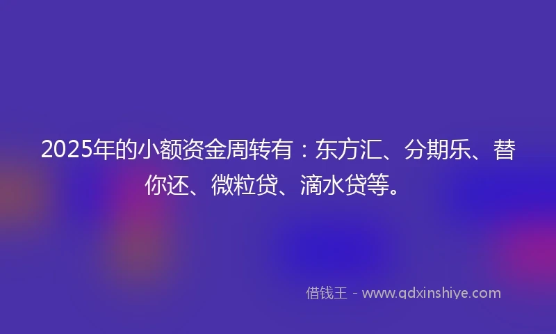 2025年的小额资金周转有：东方汇、分期乐、替你还、微粒贷、滴水贷等。