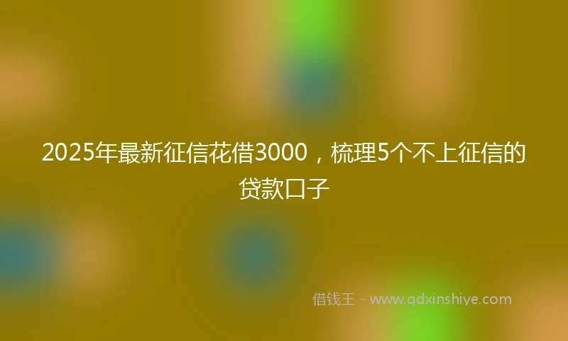 2025年最新征信花借3000，梳理5个不上征信的贷款口子