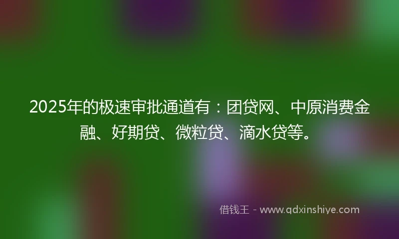 2025年的极速审批通道有：团贷网、中原消费金融、好期贷、微粒贷、滴水贷等。