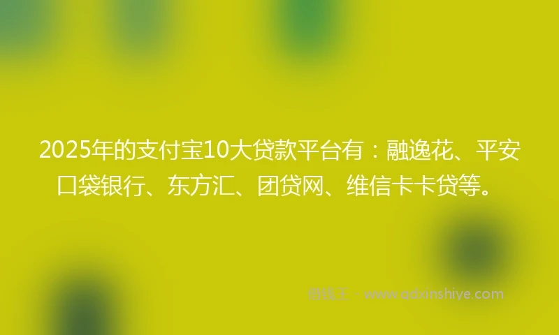 2025年的支付宝10大贷款平台有：融逸花、平安口袋银行、东方汇、团贷网、维信卡卡贷等。