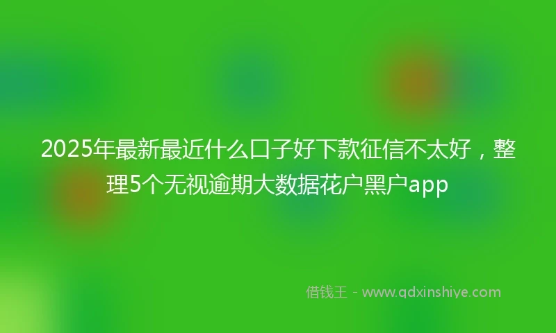 2025年最新最近什么口子好下款征信不太好，整理5个无视逾期大数据花户黑户app