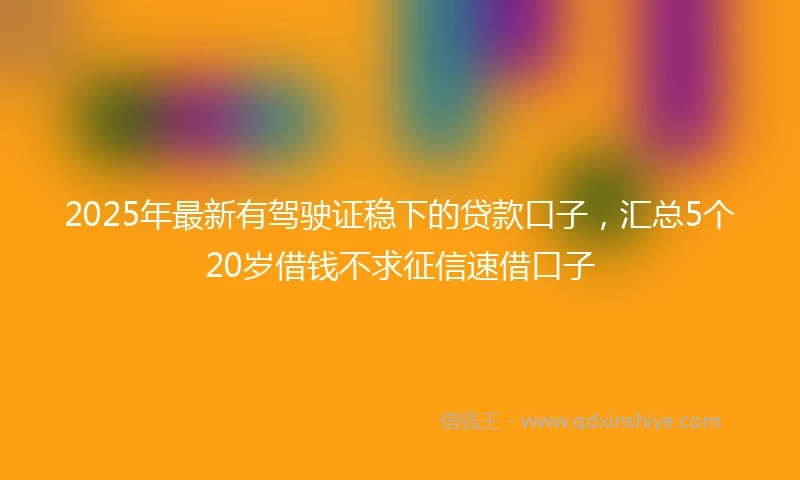 2025年最新有驾驶证稳下的贷款口子，汇总5个20岁借钱不求征信速借口子