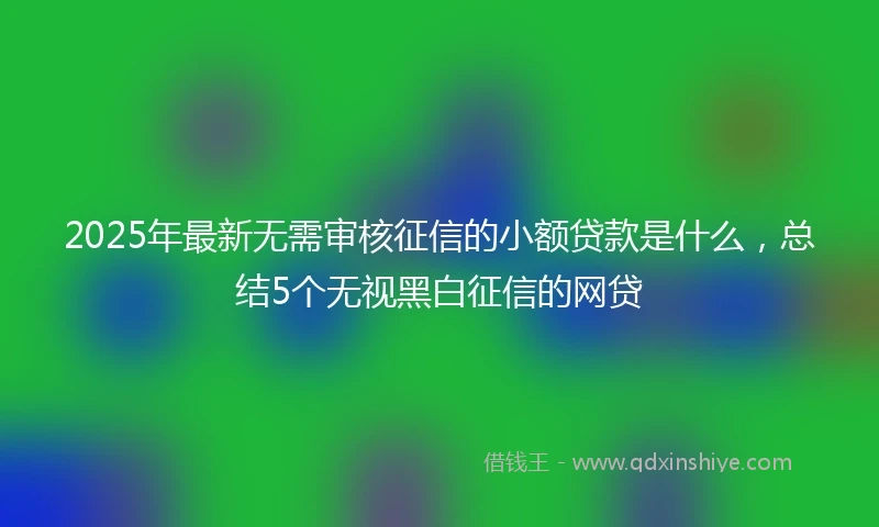 2025年最新无需审核征信的小额贷款是什么，总结5个无视黑白征信的网贷