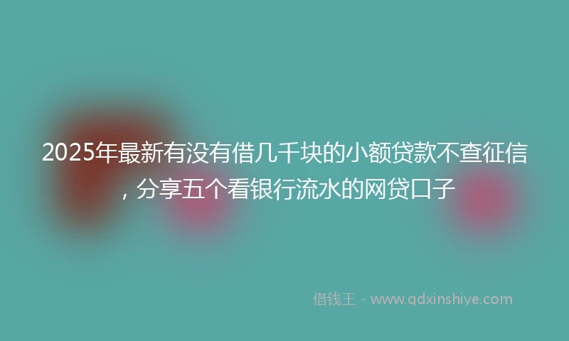 2025年最新有没有借几千块的小额贷款不查征信，分享五个看银行流水的网贷口子
