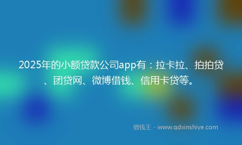 2025年的小额贷款公司app有：拉卡拉、拍拍贷、团贷网、微博借钱、信用卡贷等。