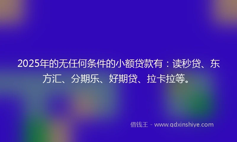 2025年的无任何条件的小额贷款有：读秒贷、东方汇、分期乐、好期贷、拉卡拉等。