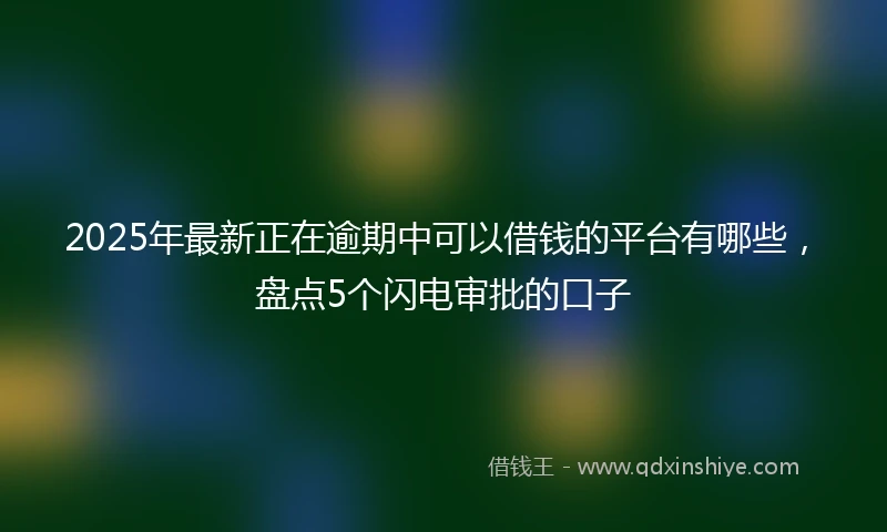 2025年最新正在逾期中可以借钱的平台有哪些，盘点5个闪电审批的口子