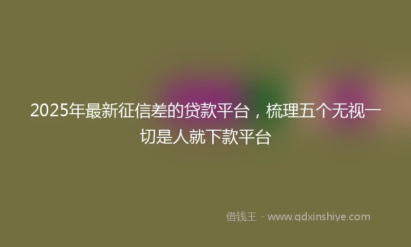 2025年最新征信差的贷款平台，梳理五个无视一切是人就下款平台