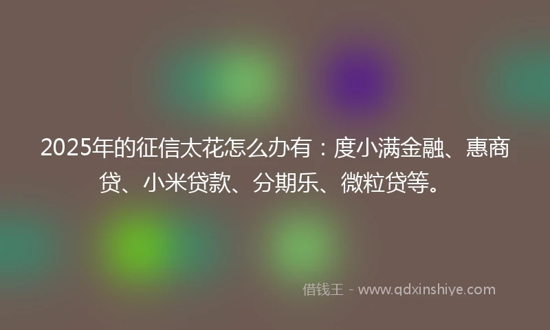 2025年的征信太花怎么办有：度小满金融、惠商贷、小米贷款、分期乐、微粒贷等。