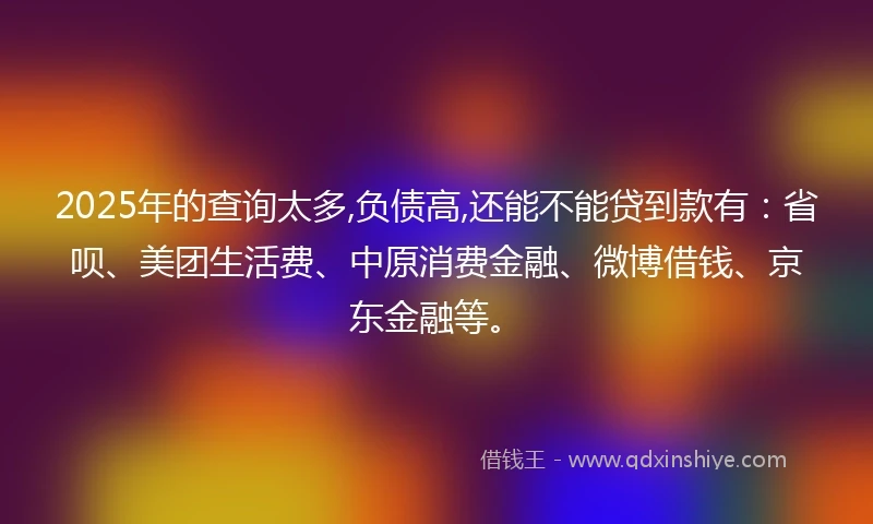 2025年的查询太多,负债高,还能不能贷到款有：省呗、美团生活费、中原消费金融、微博借钱、京东金融等。