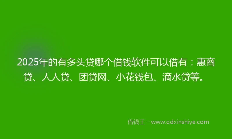 2025年的有多头贷哪个借钱软件可以借有：惠商贷、人人贷、团贷网、小花钱包、滴水贷等。