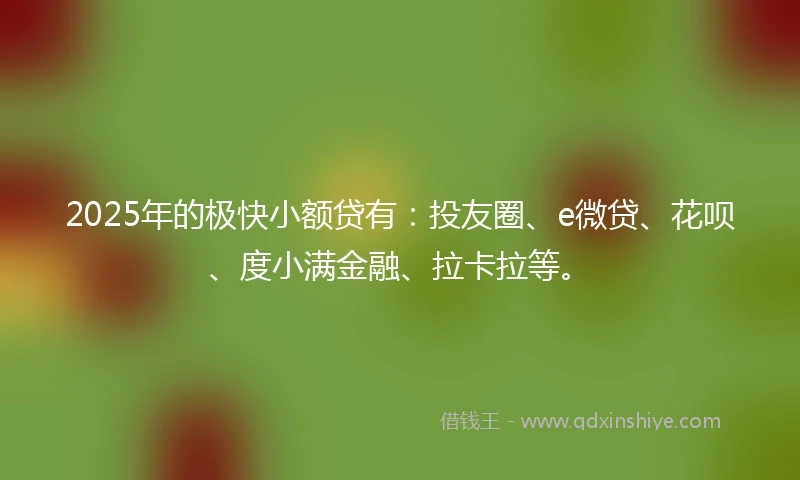 2025年的极快小额贷有：投友圈、e微贷、花呗、度小满金融、拉卡拉等。