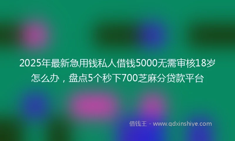 2025年最新急用钱私人借钱5000无需审核18岁怎么办，盘点5个秒下700芝麻分贷款平台