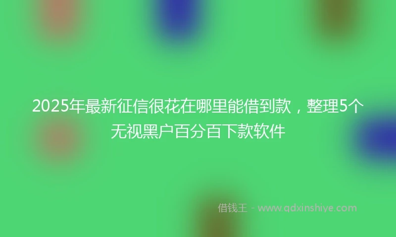 2025年最新征信很花在哪里能借到款，整理5个无视黑户百分百下款软件