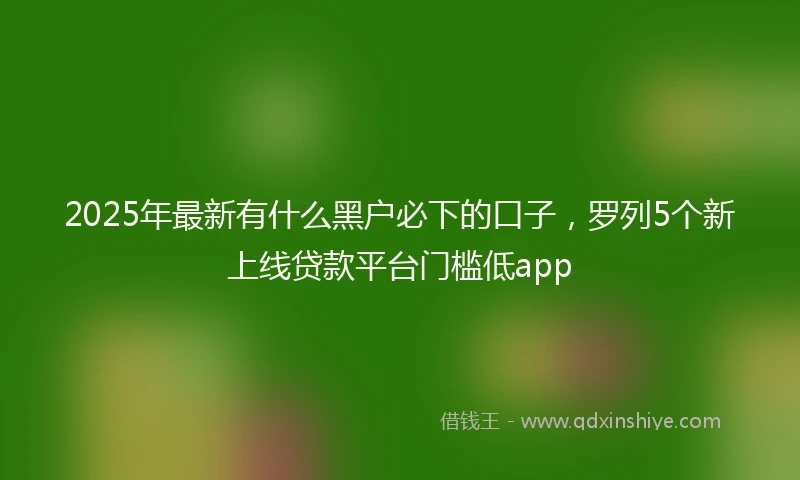 2025年最新有什么黑户必下的口子，罗列5个新上线贷款平台门槛低app