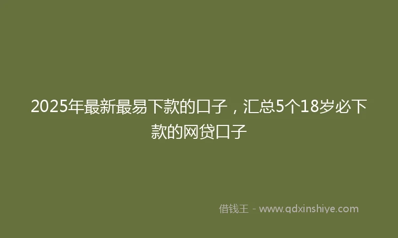 2025年最新最易下款的口子，汇总5个18岁必下款的网贷口子