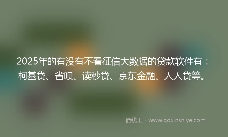 2025年的有没有不看征信大数据的贷款软件有：柯基贷、省呗、读秒贷、京东金融、人人贷等。