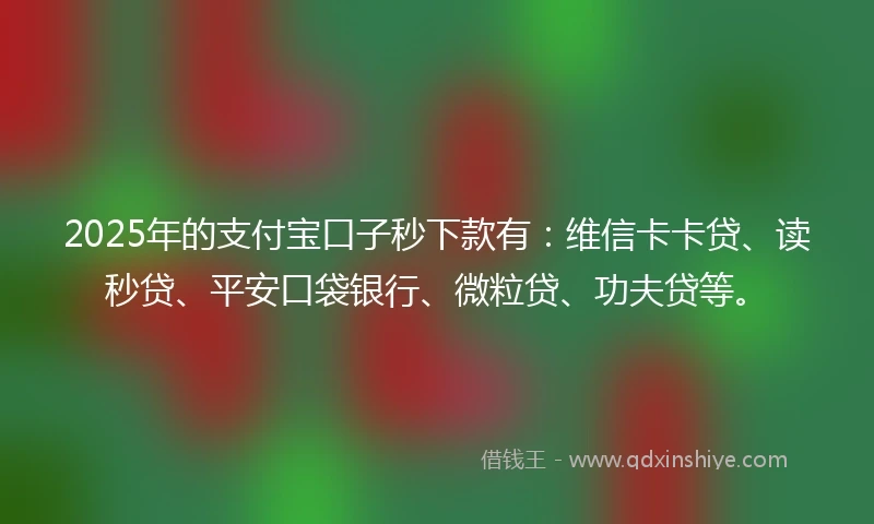 2025年的支付宝口子秒下款有：维信卡卡贷、读秒贷、平安口袋银行、微粒贷、功夫贷等。
