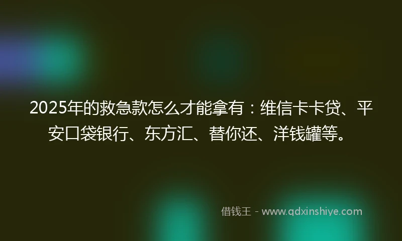 2025年的救急款怎么才能拿有：维信卡卡贷、平安口袋银行、东方汇、替你还、洋钱罐等。