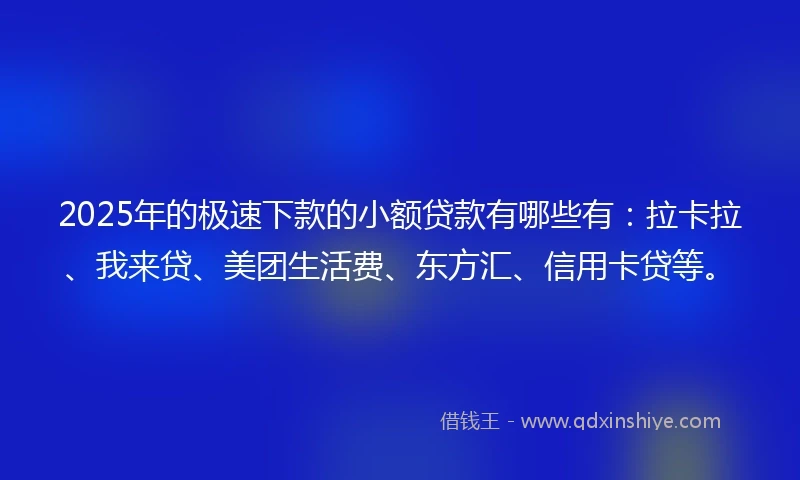 2025年的极速下款的小额贷款有哪些有：拉卡拉、我来贷、美团生活费、东方汇、信用卡贷等。
