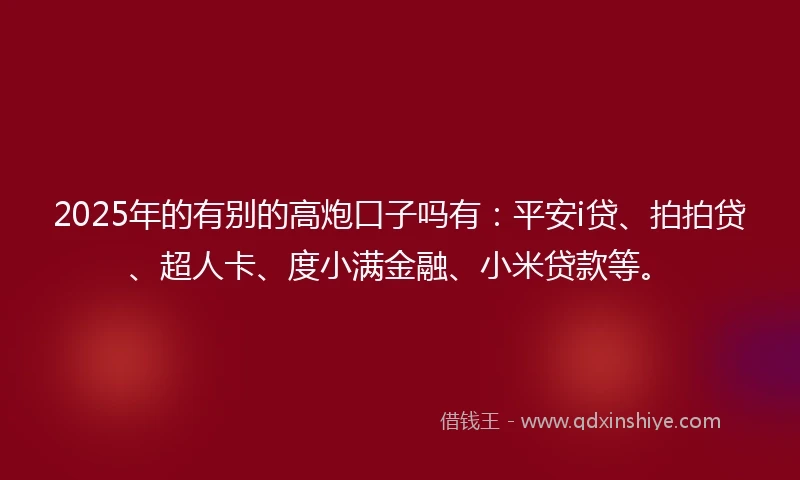 2025年的有别的高炮口子吗有：平安i贷、拍拍贷、超人卡、度小满金融、小米贷款等。