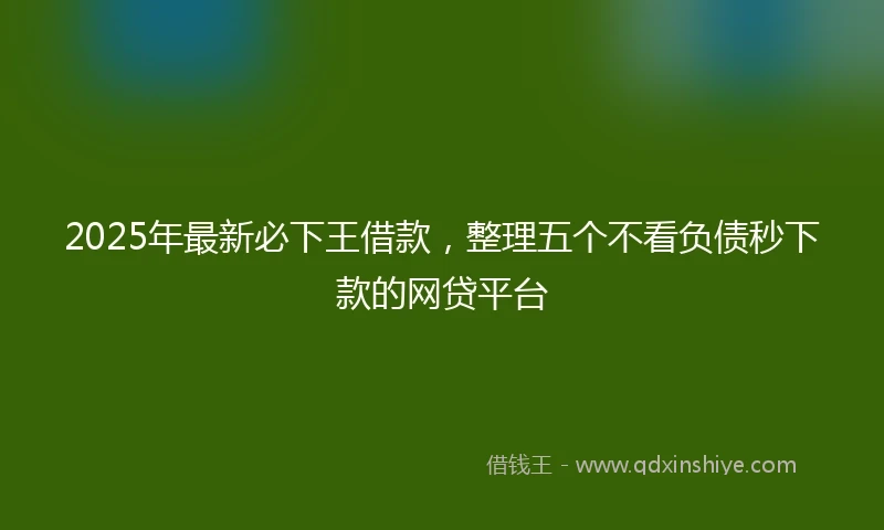 2025年最新必下王借款，整理五个不看负债秒下款的网贷平台