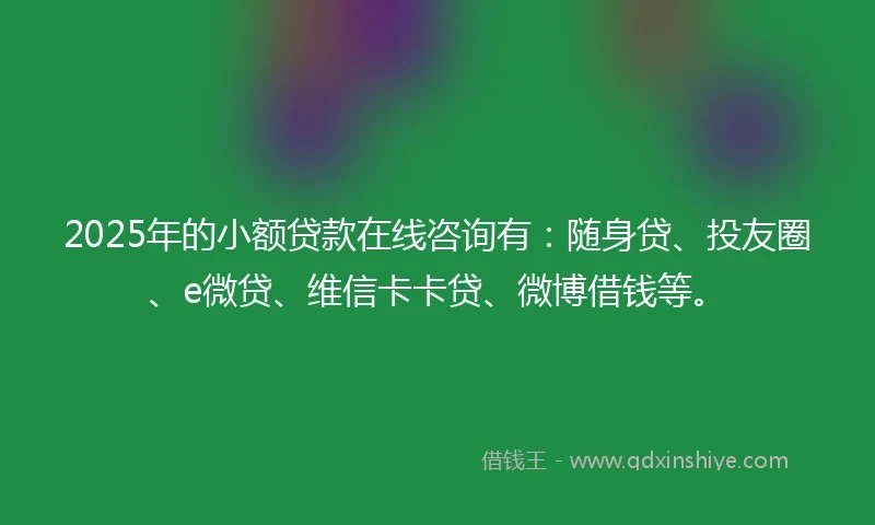 2025年的小额贷款在线咨询有：随身贷、投友圈、e微贷、维信卡卡贷、微博借钱等。