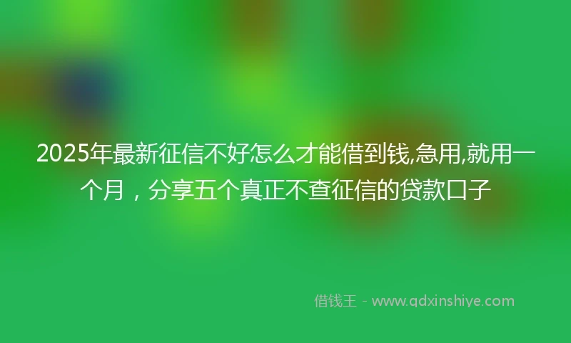 2025年最新征信不好怎么才能借到钱,急用,就用一个月，分享五个真正不查征信的贷款口子