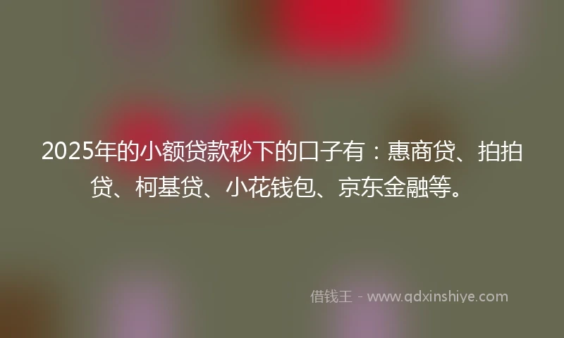 2025年的小额贷款秒下的口子有：惠商贷、拍拍贷、柯基贷、小花钱包、京东金融等。