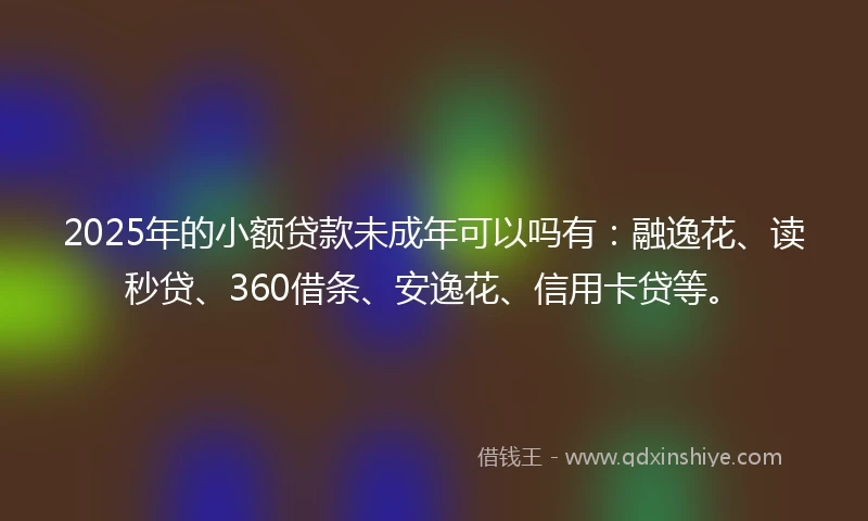 2025年的小额贷款未成年可以吗有：融逸花、读秒贷、360借条、安逸花、信用卡贷等。