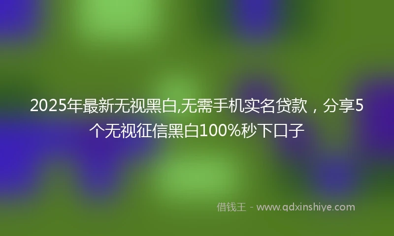 2025年最新无视黑白,无需手机实名贷款，分享5个无视征信黑白100%秒下口子