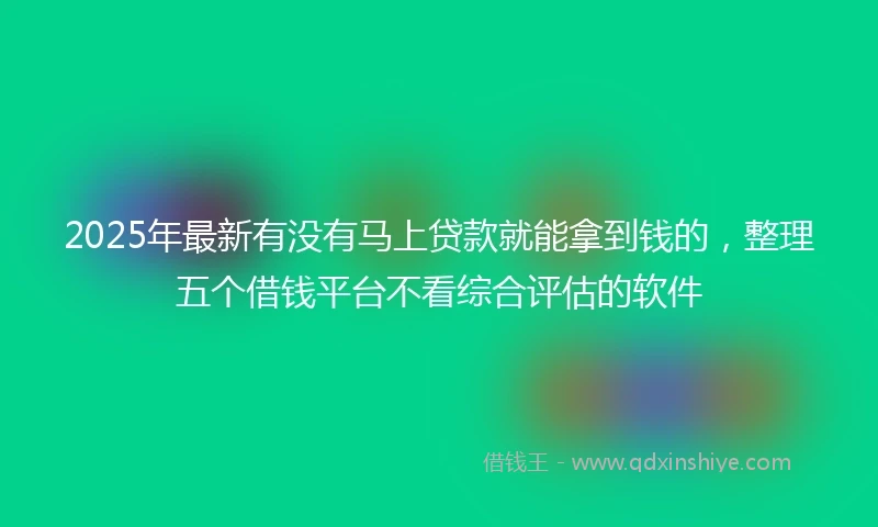2025年最新有没有马上贷款就能拿到钱的，整理五个借钱平台不看综合评估的软件