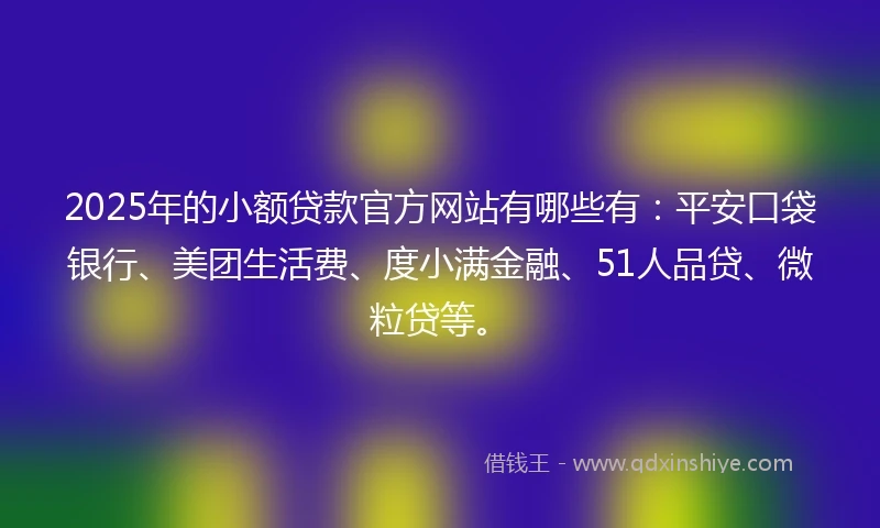 2025年的小额贷款官方网站有哪些有：平安口袋银行、美团生活费、度小满金融、51人品贷、微粒贷等。