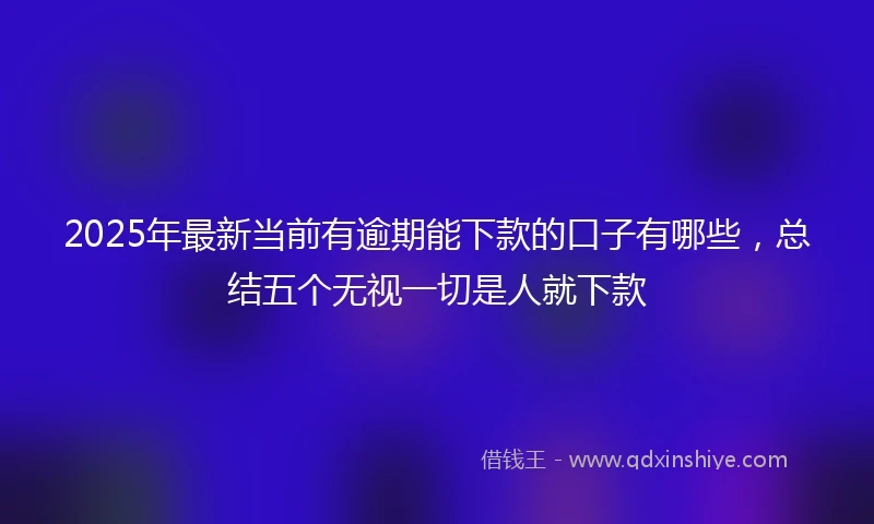 2025年最新当前有逾期能下款的口子有哪些，总结五个无视一切是人就下款